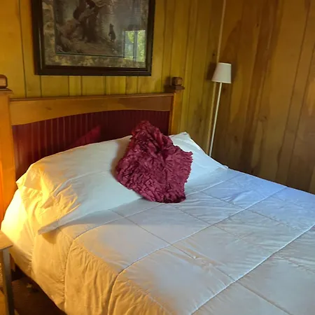 Sleeping Bear Riverside Cabins Honor Exterior photo