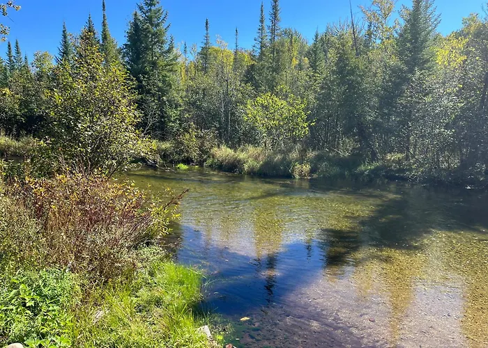 Sleeping Bear Riverside Cabins